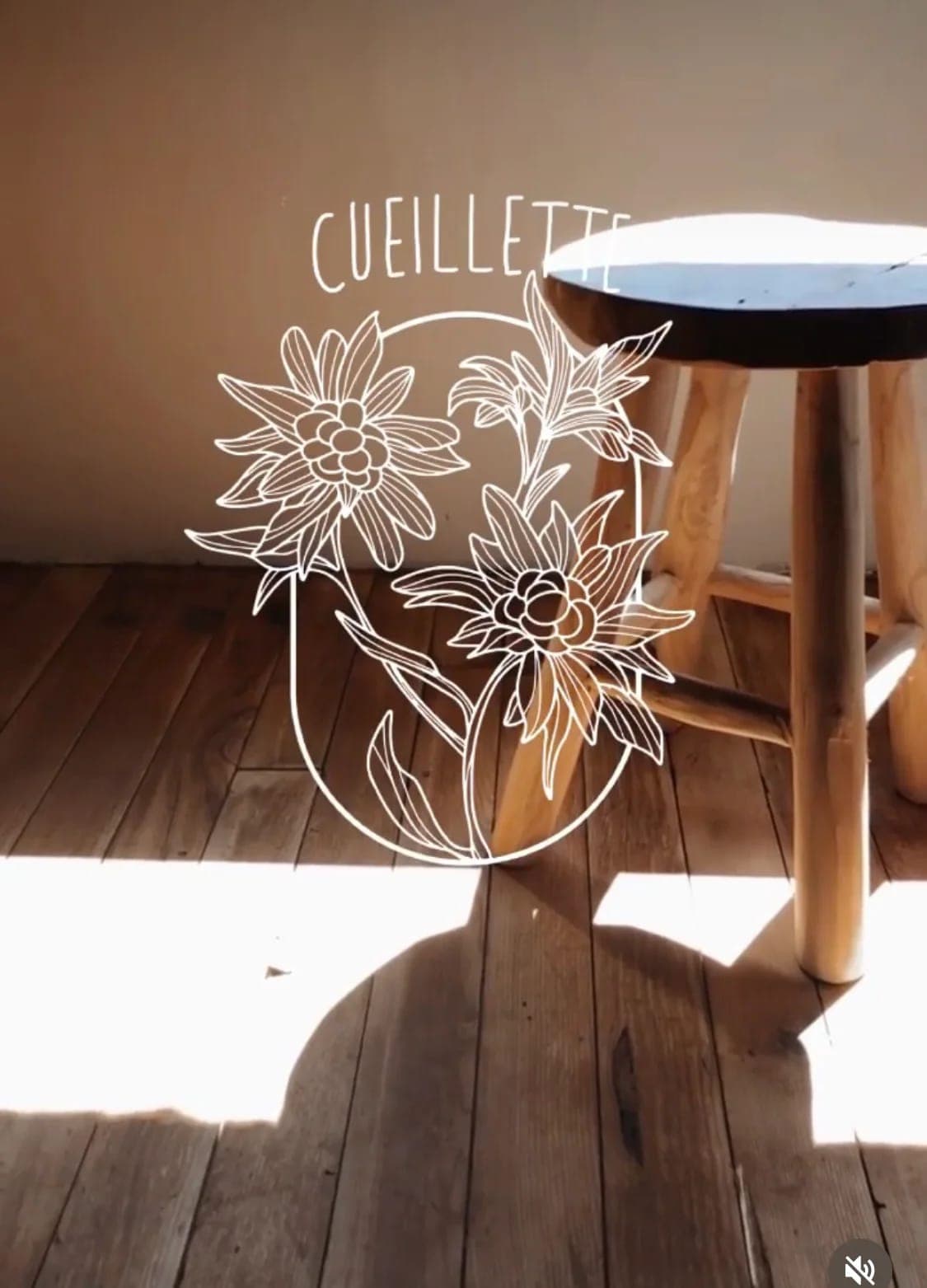 Tabouret en bois dans la lumière de l'atelier Cueillette